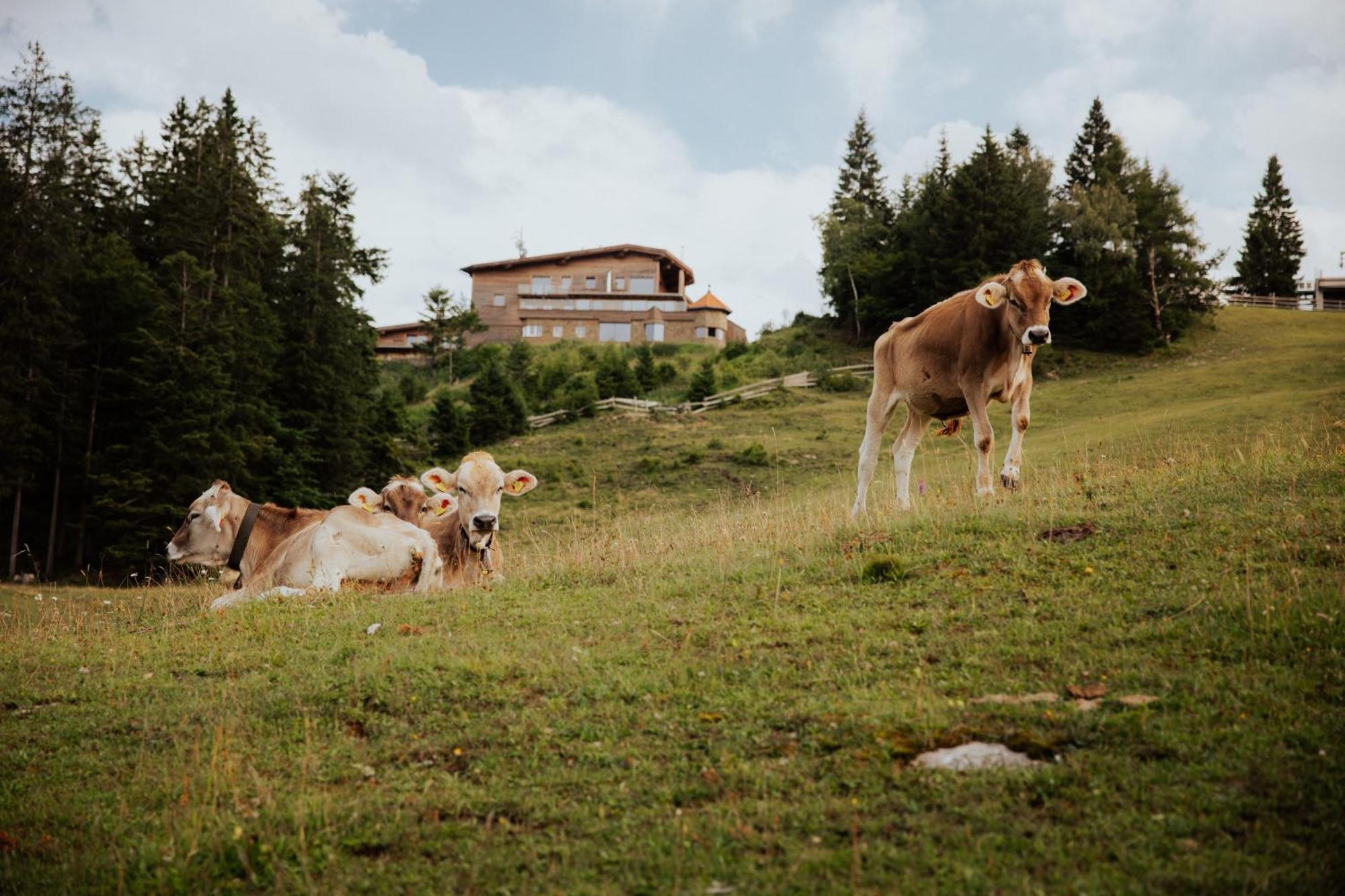 Chalet G12 - Mountain Luxury Apartments Seefeld in Tirol Eksteriør billede